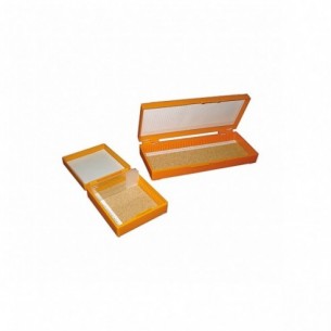 Caja para almacenar 12 portaobjetos con tapa bisagra