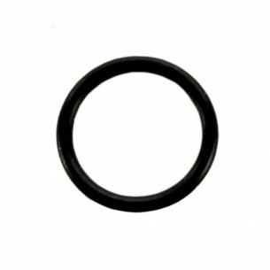 INNER O-RING FOR P1000G/P1000L X 100