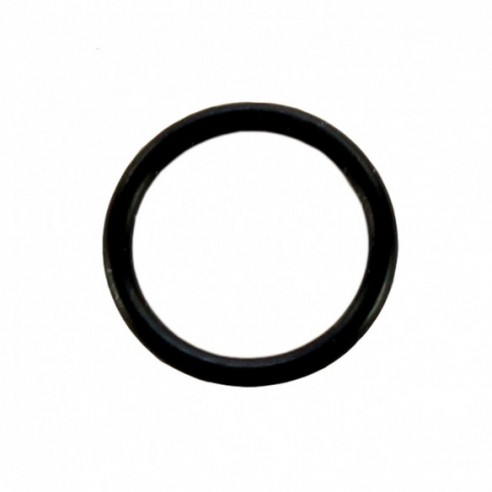 INNER O-RING FOR P1000G/P1000L X 100