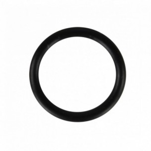OUTER O-RING FOR P1000G/P1000L X 100