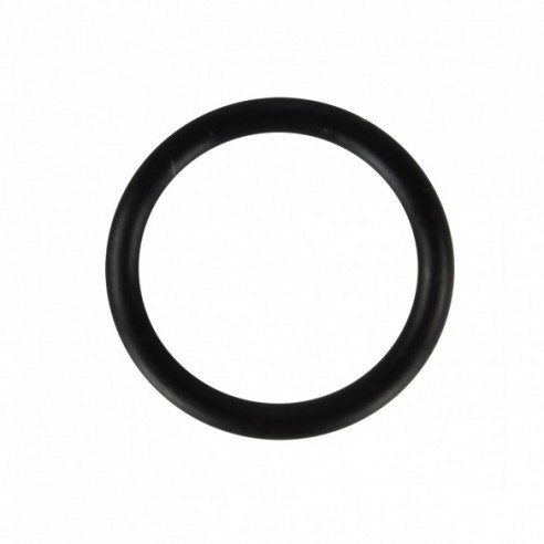 OUTER O-RING FOR P1000G/P1000L X 100
