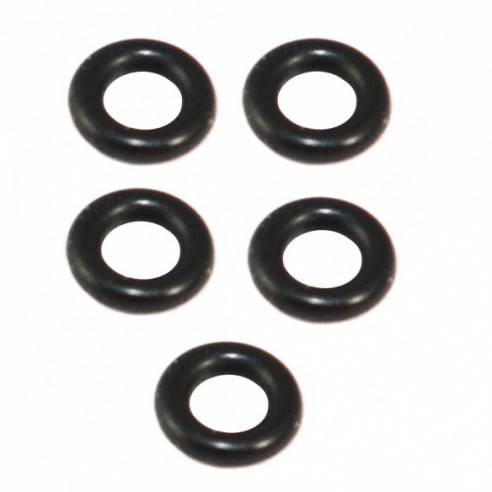 O-RING FOR PM100, 1X5
