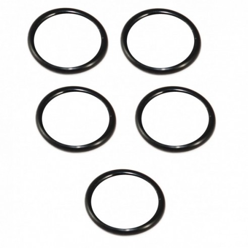 O-RING FOR P100 ML M, 1X5