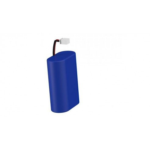LITHIUM ION BATTERY