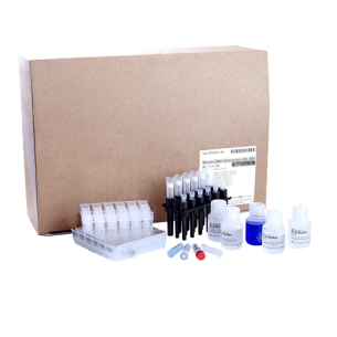 Para extracción de ADN genómico de bacterias