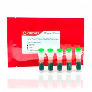 Horse-Power™ Green-Taq DNA Polymerase, MasterMix (2x), 5 x 100 rxn