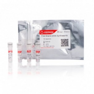 First Strand cDNA Synthesis Kit, 250 rxn