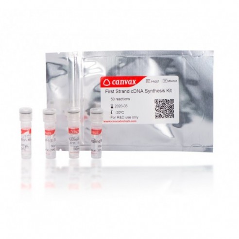 First Strand cDNA Synthesis Kit, 250 rxn