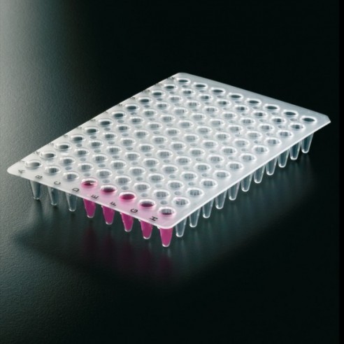 PLACA PCR 96 LOW PROFILE  5X20uds