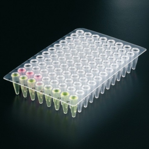 PLACA PCR 96 ESTANDAR  100uds