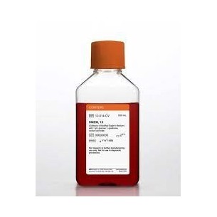 500 mL DMEM/F12 (with L-glutamine and 15mM HEPES)