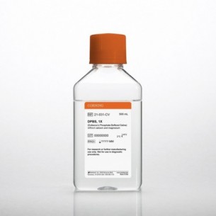 500 mL DPBS 1X (without Calcium and Magnesium)