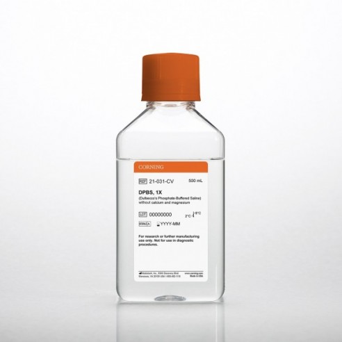 500 mL DPBS 1X (without Calcium and Magnesium)