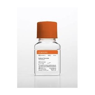 100 mL Sodium Pyruvate, Liquid 100 mM Solution with 8.5 g/L NaCI