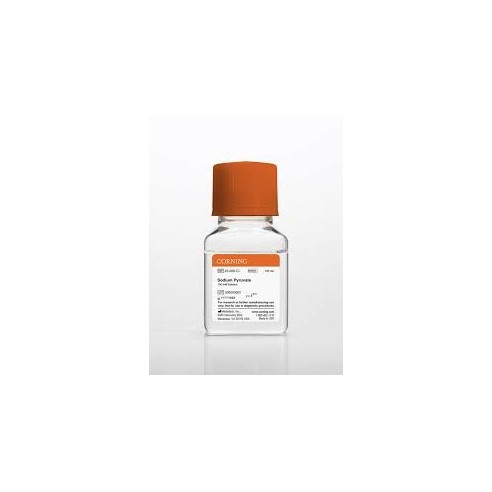 100 mL Sodium Pyruvate, Liquid 100 mM Solution with 8.5 g/L NaCI