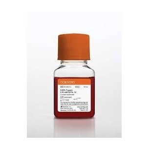 100 mL Trypsin/EDTA 1X (0,05% Trypsin/0,53 mM EDTA)