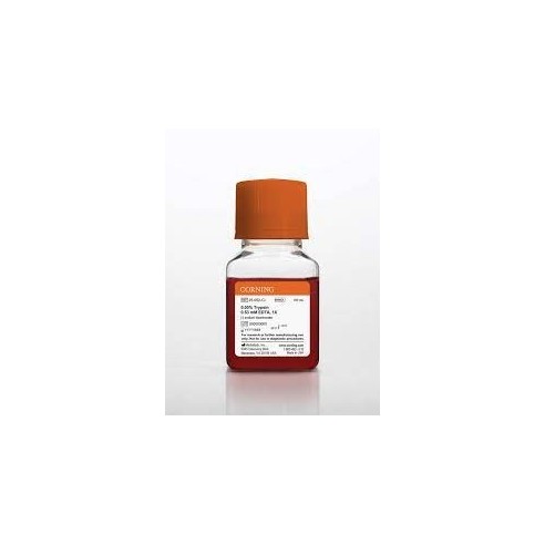 100 mL Trypsin/EDTA 1X (0,05% Trypsin/0,53 mM EDTA)