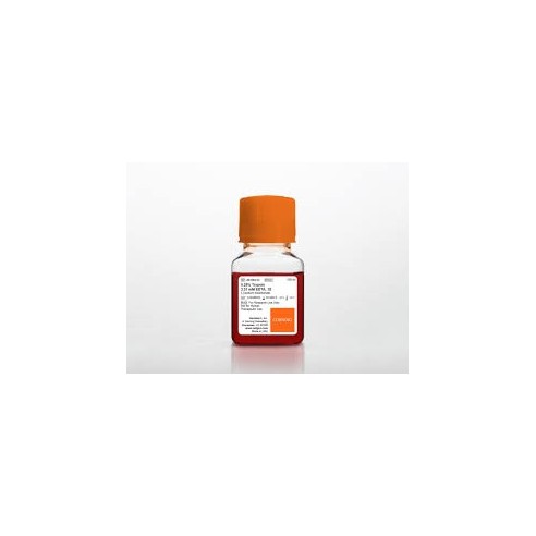 Trypsin/EDTA 1X (0,25% Trypsin/2,21 mM EDTA)