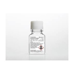 Penicillin/Streptomycin solution 100X