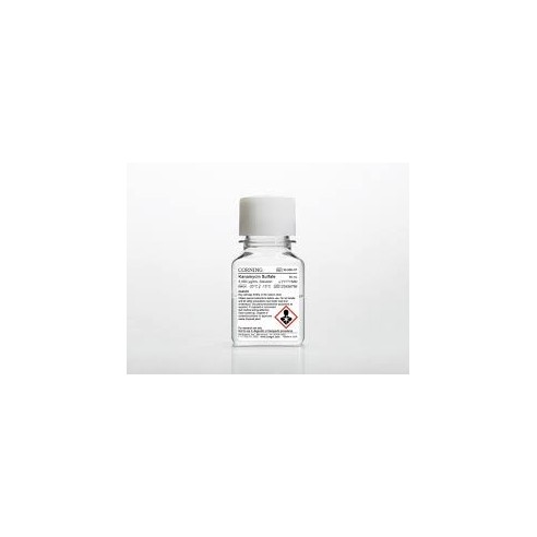 Penicillin/Streptomycin solution 100X