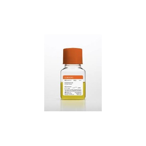 50 mL Amphotericin B, Liquid 250 µg/mL solubilized