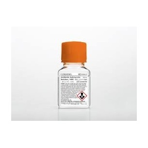 100 mL Antibiotic-Antimycotic Solution, 10,000 I.U. Penicillin (per mL) 10,000 µg/mL Streptomycin 25 µg/mL Amphotericin with 
