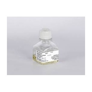 10 mL Gentamicin Sulfate, Liquid 50 mg/mL Solution