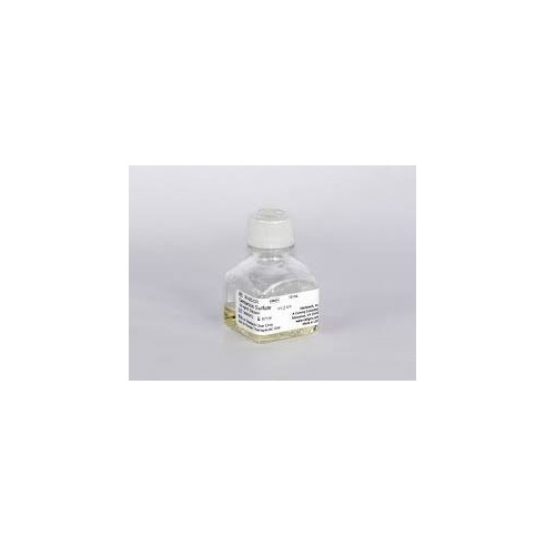 10 mL Gentamicin Sulfate, Liquid 50 mg/mL Solution