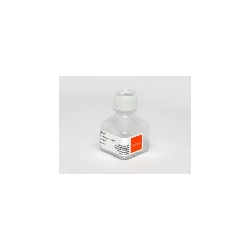 G418 Sulphate (liquid, 50 mg/ml)