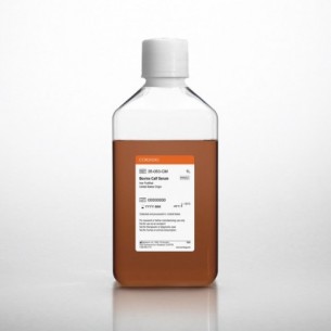 Bovine Calf Serum, United States Origin, Iron Fortified