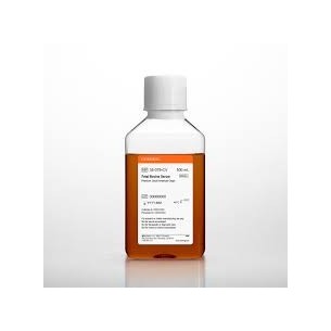 Fetal Bovine Serum, EU Compliant, South American Source , 500 mL