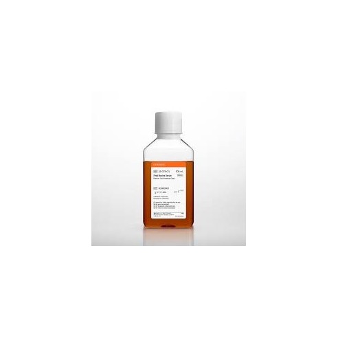 Fetal Bovine Serum, EU Compliant, South American Source , 500 mL