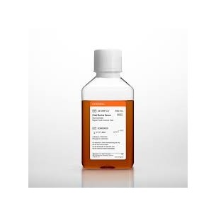 Fetal Bovine Serum –South American Origin –Heat Inactivated – 500 mL