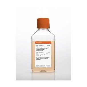 500 mL transfectagro™ Reduced-serum Medium, with HEPES, glutagro™, and sodium pyruvate