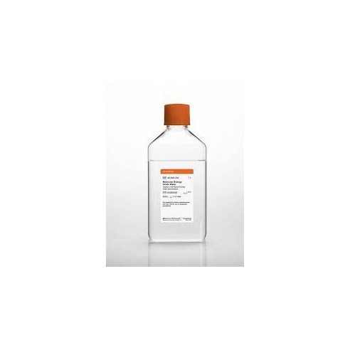 1 L, Molecular Biology Grade Water  Tested to USP Sterile Purified Water Specifications