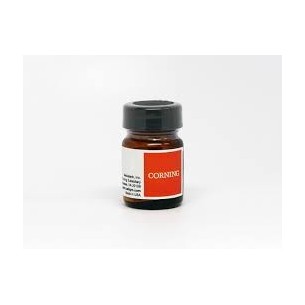 10 g Ampicillin, Sodium Salt, Powder