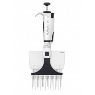 MY PIPETMAN ENTREPRISE P12X300