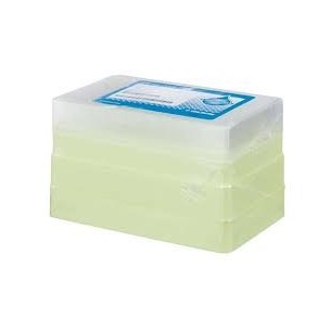 E200 GEL LOADING FLAT TIPS (.37MM OD), C