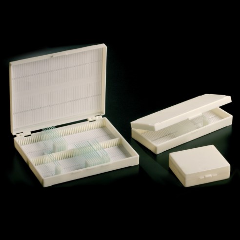 CAJA 100 PORTAOBJETOS ROJA  1uds