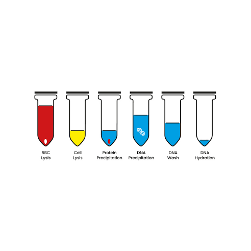 Danagene blood DNA kit  100 ml/sangre