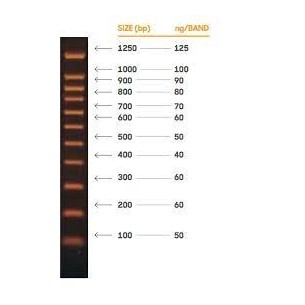 DANAMARKER SCHUMANN  1 ml