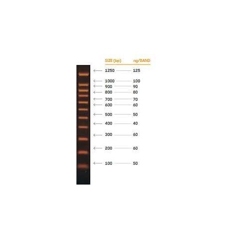 DANAMARKER SCHUMANN  1 ml