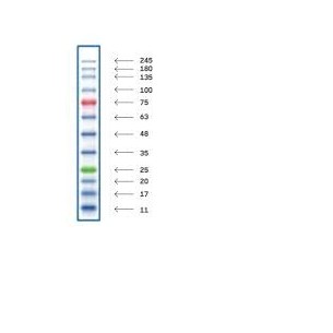 DANAMARKER DEBUSSY  500 ul