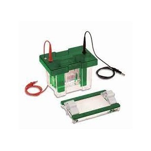 MINI BLOT CASETTE 10X10 CM