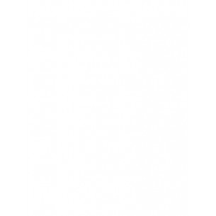 MAXI BLOTTER 20X20 CM