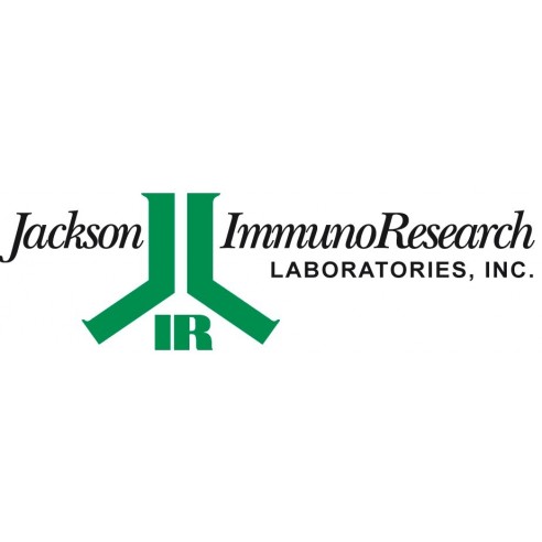 40 nm Colloidal Gold-ChromPure Human IgM (myeloma), whole molecule