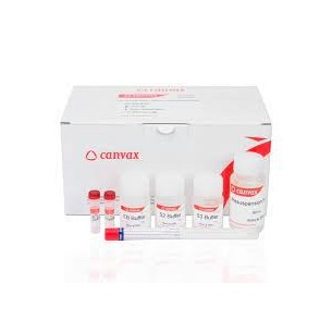 HigherPurity™ Buccal Swab DNA Extraction Kit  50 rxn