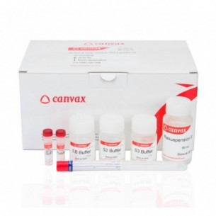 HigherPurity™ Buccal Swab DNA Extraction Kit  250 rxn