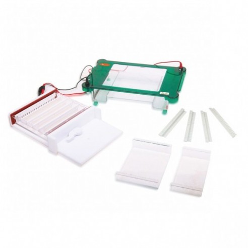 Sistema de electroforesis horizontal, dimensiones del gel 200 x 200, 200 x 150 o 200 x 100 mm