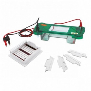Sistema de electroforesis horizontal dimensión del gel de 78 x 100 mm